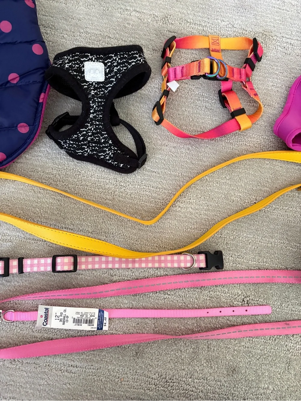 Puppy Accessory Set - Some New, Others Gently Used